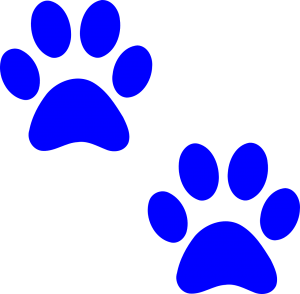 paw-prints-308974_1280