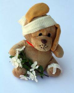 teddy-242871_1280